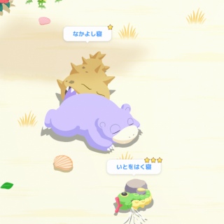 💤h