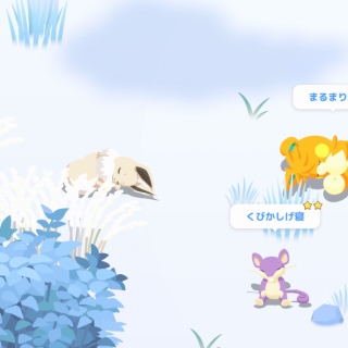 💤C[uC