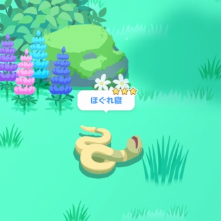 💤���A�[�{