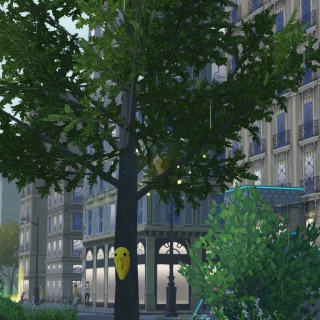 ���r�[�h��